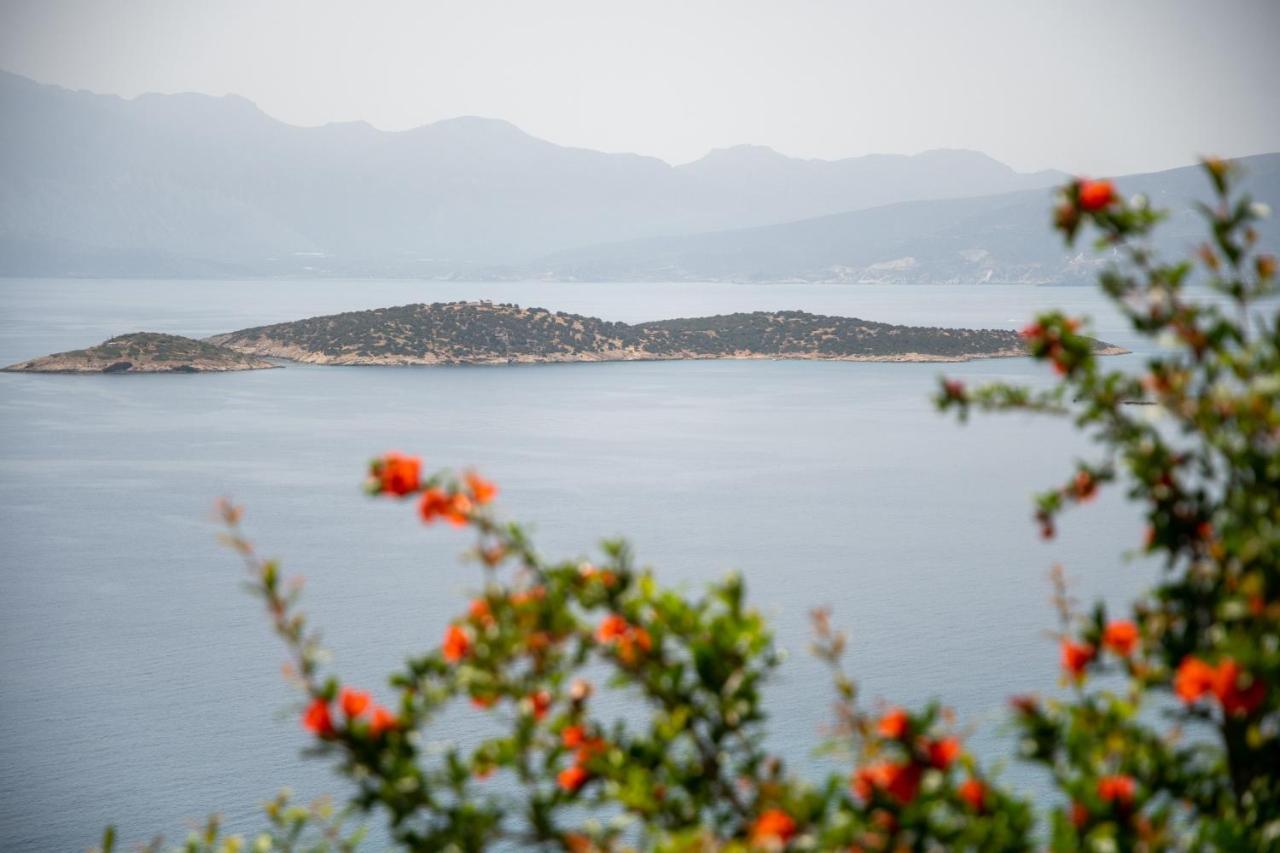 Miracle View Villas Ágios Nikolaos Exterior foto
